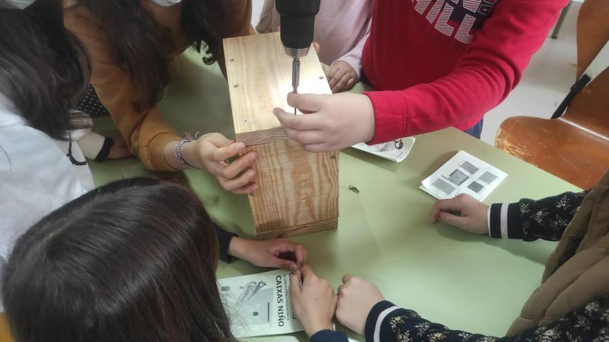 Los niños durante el taller de cajas-nido para pájaros en Redondela. / FdV