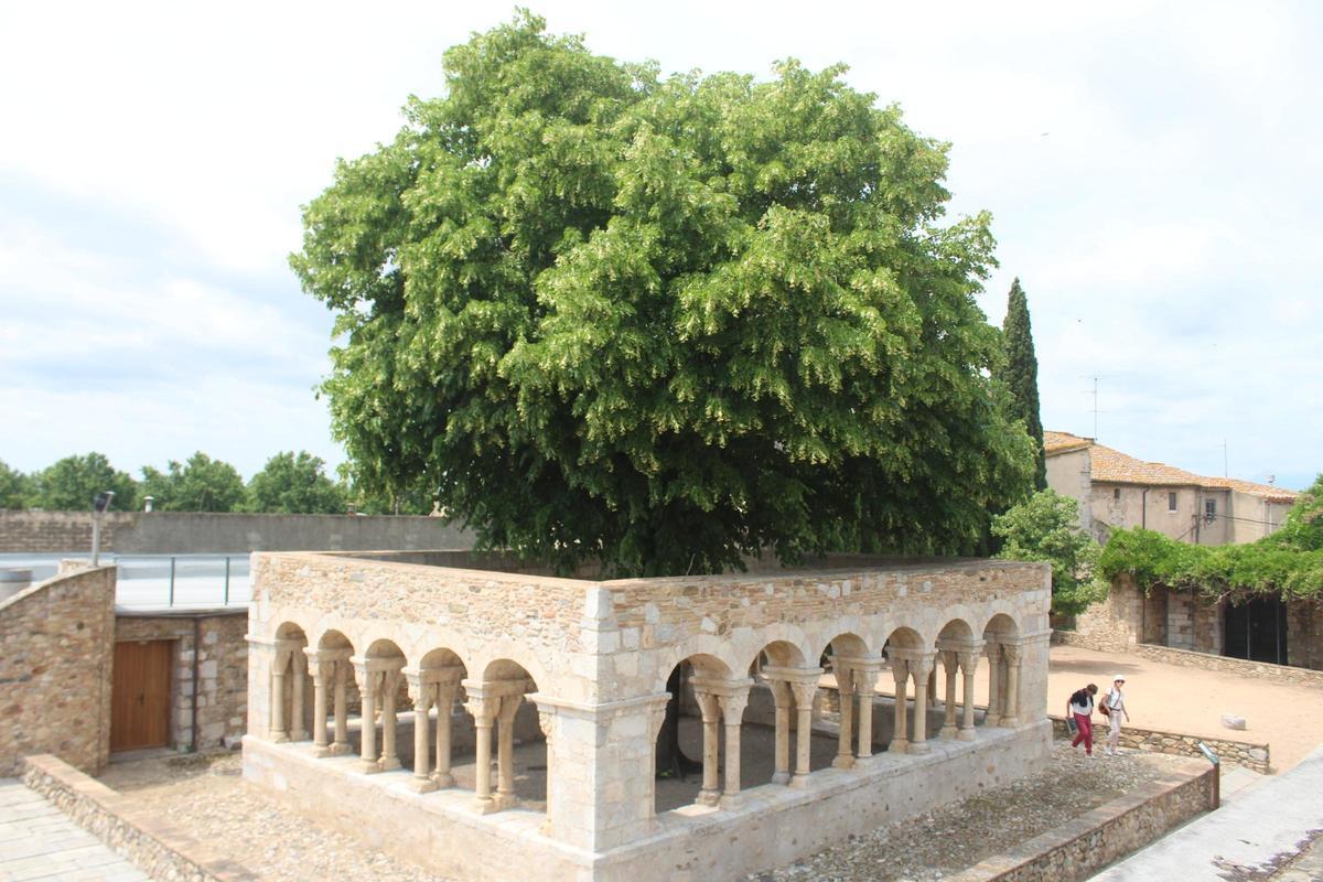 El Claustre de Sant Domènec.