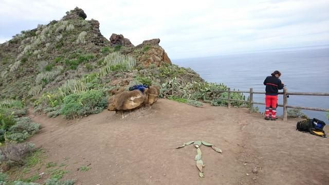 Fallece al despeñarse en Punta del Hidalgo