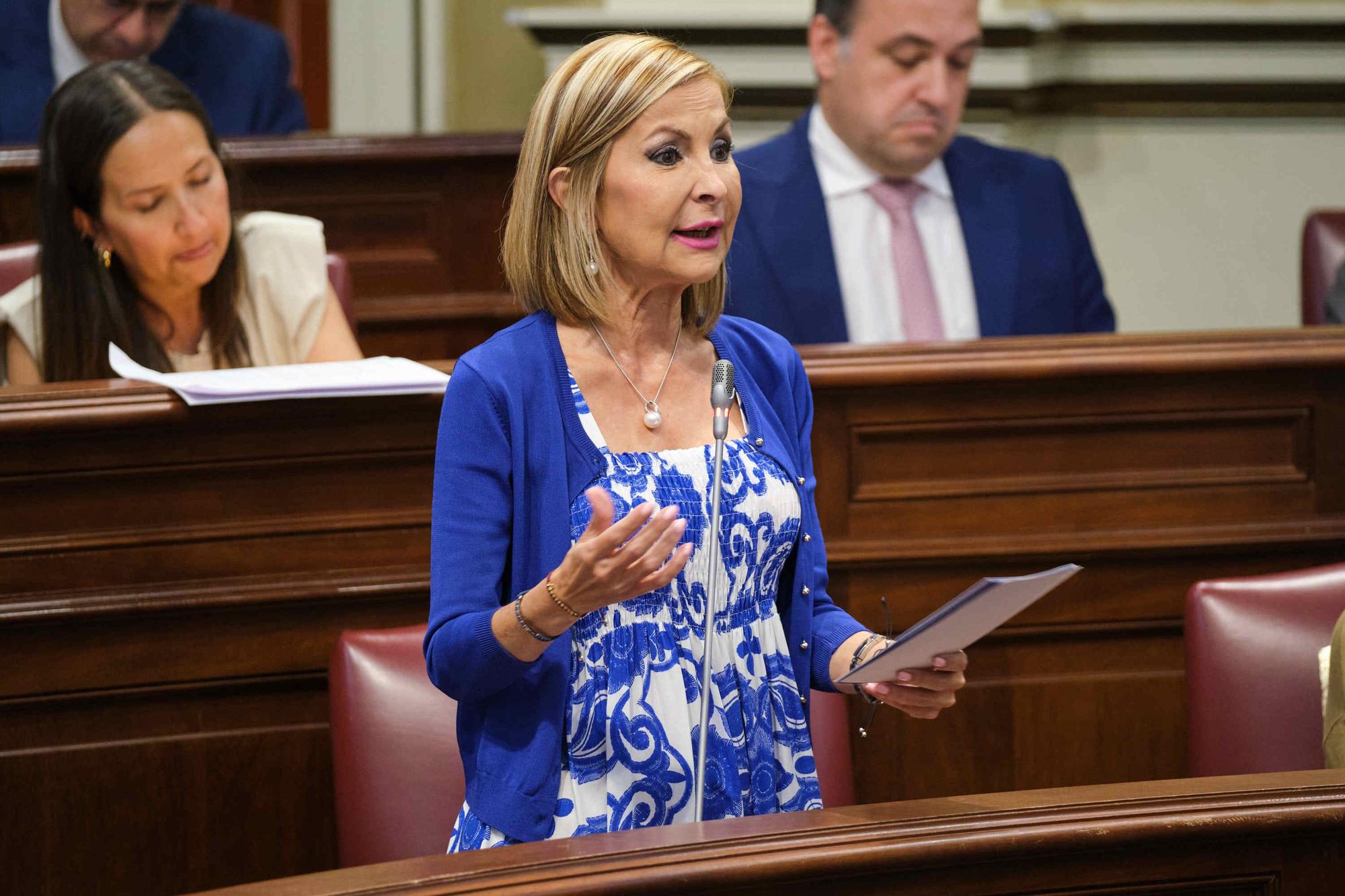 Pleno del Parlamento (12/07/22)