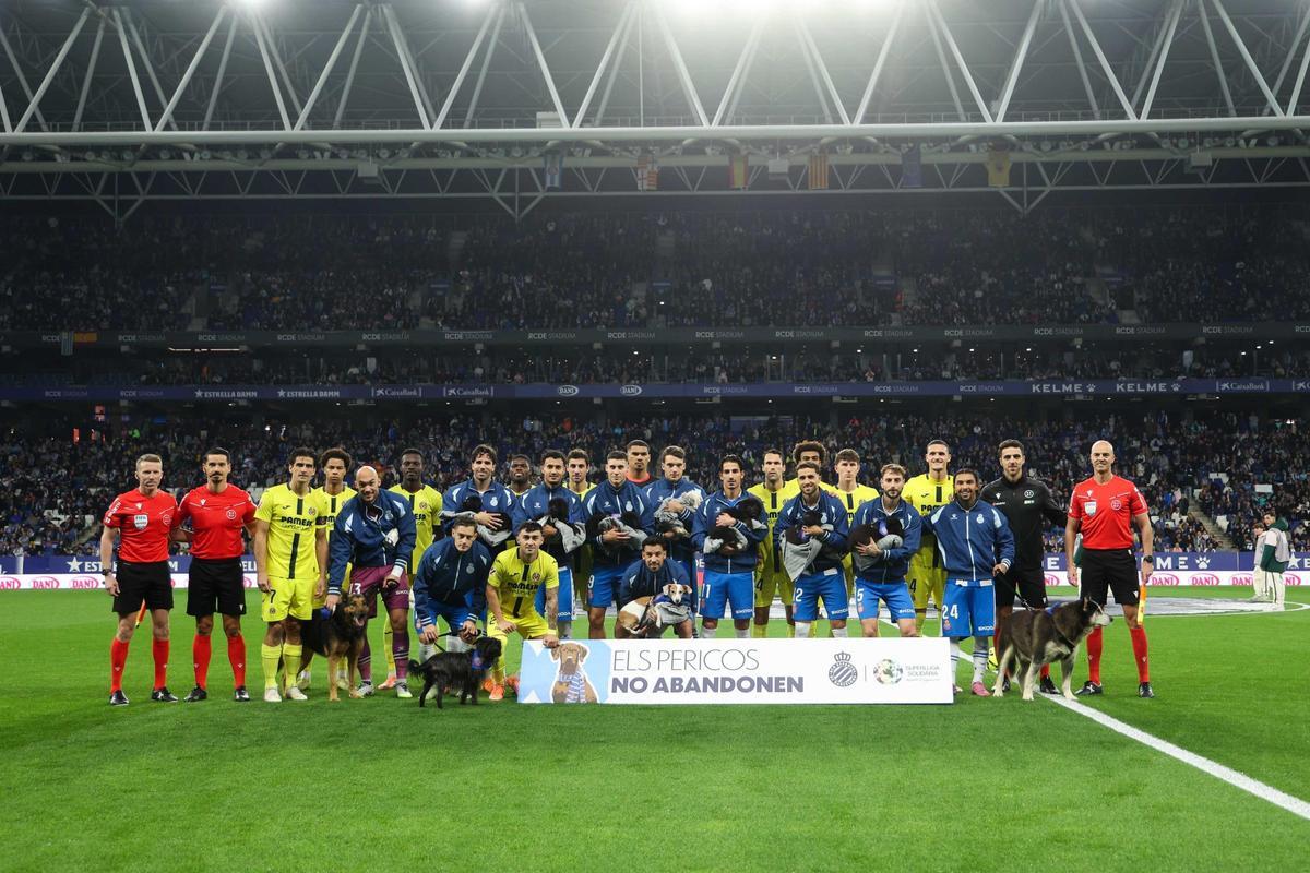 'Periquitos' y perritos, juntos contra el abandono animal