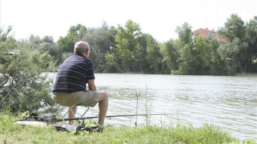 Cs insta el apoyo a la caza y la pesca en Aragón para impulsar el medio rural