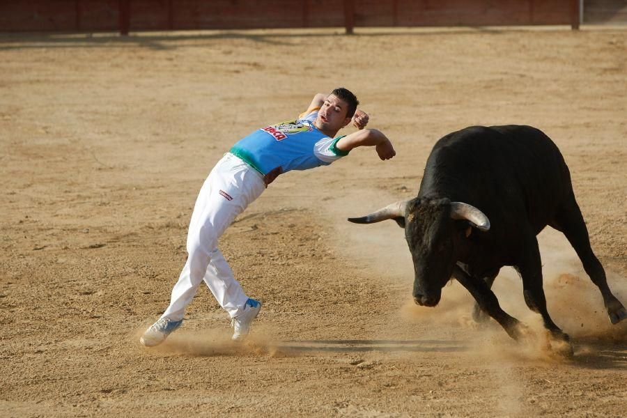 Fiestas en Zamora: Recortes en Villalpando