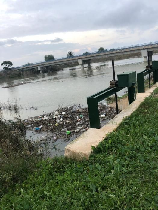 El río Segura a su paso por Rojales y la desembocadura en Guardamar tras la crecida