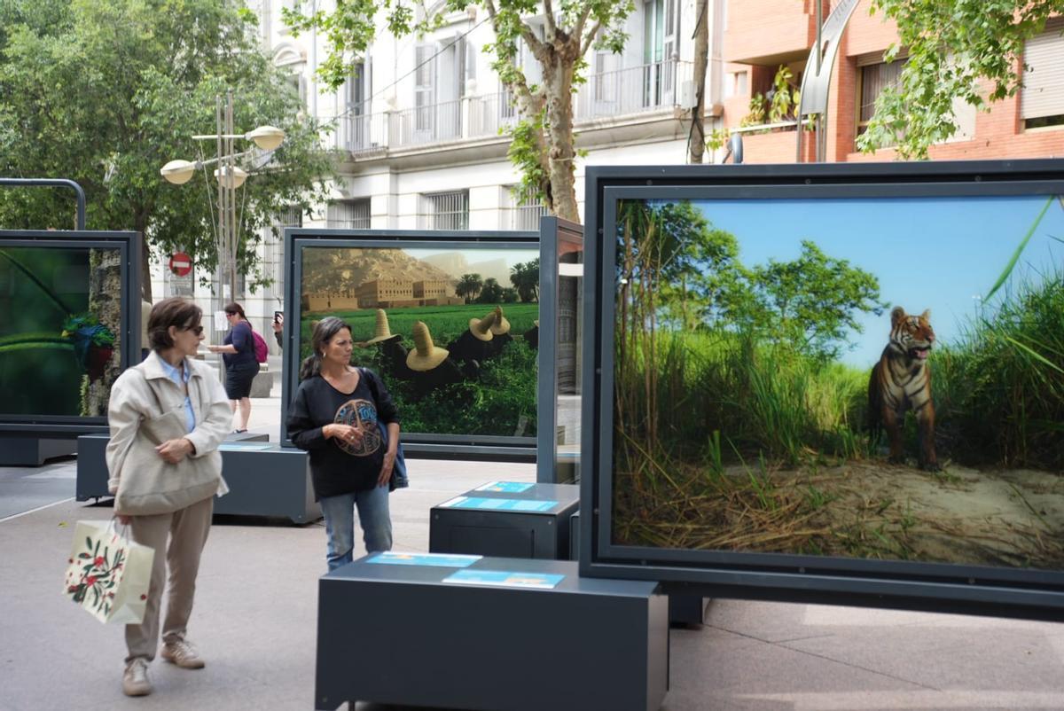 Una exposición de National Geographic celebra los 'Colores del mundo' en el Bulevar de Gran Capitán
