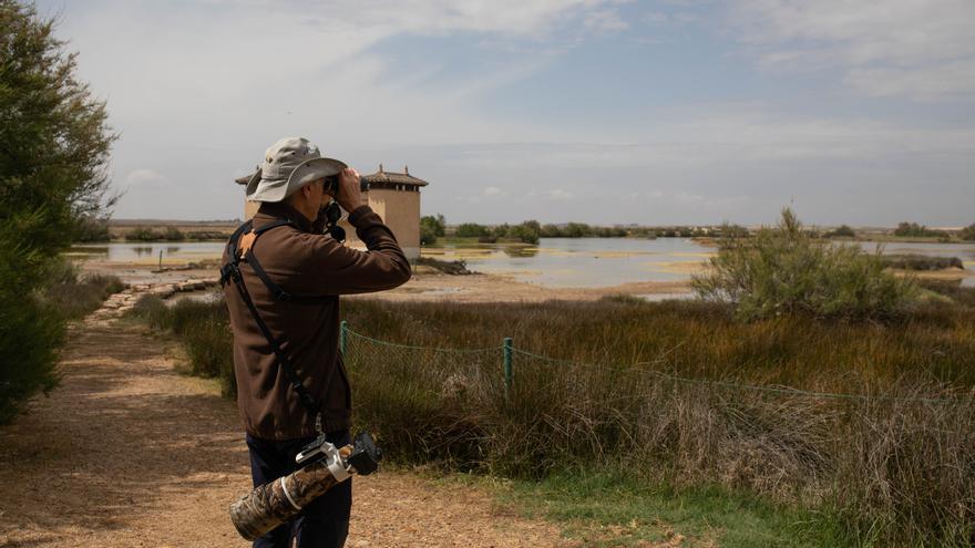 GALERÍA | Las Lagunas de Villafáfila resisten a la sequía