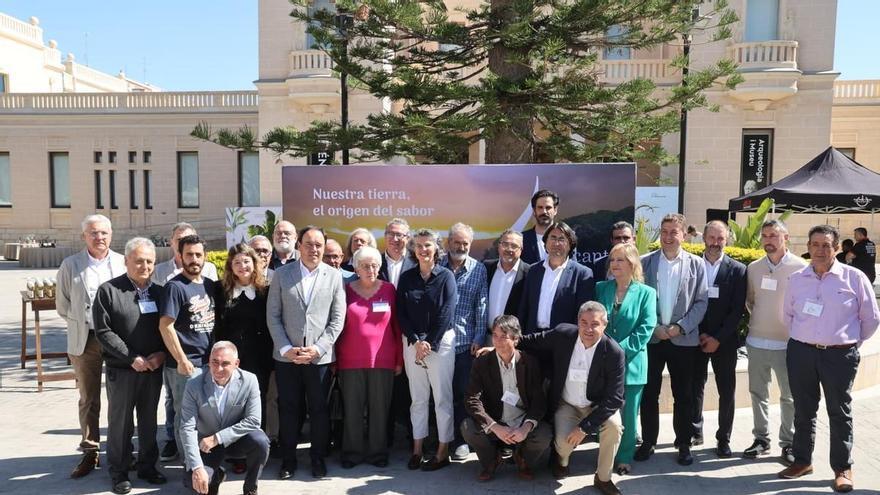 Las almazaras se unen para pedir la denominación de origen para el aceite de Alicante