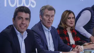 Feijóo teme que la crisis de la DANA se extienda a todo el PP y activa los meses clave para el futuro de Mazón