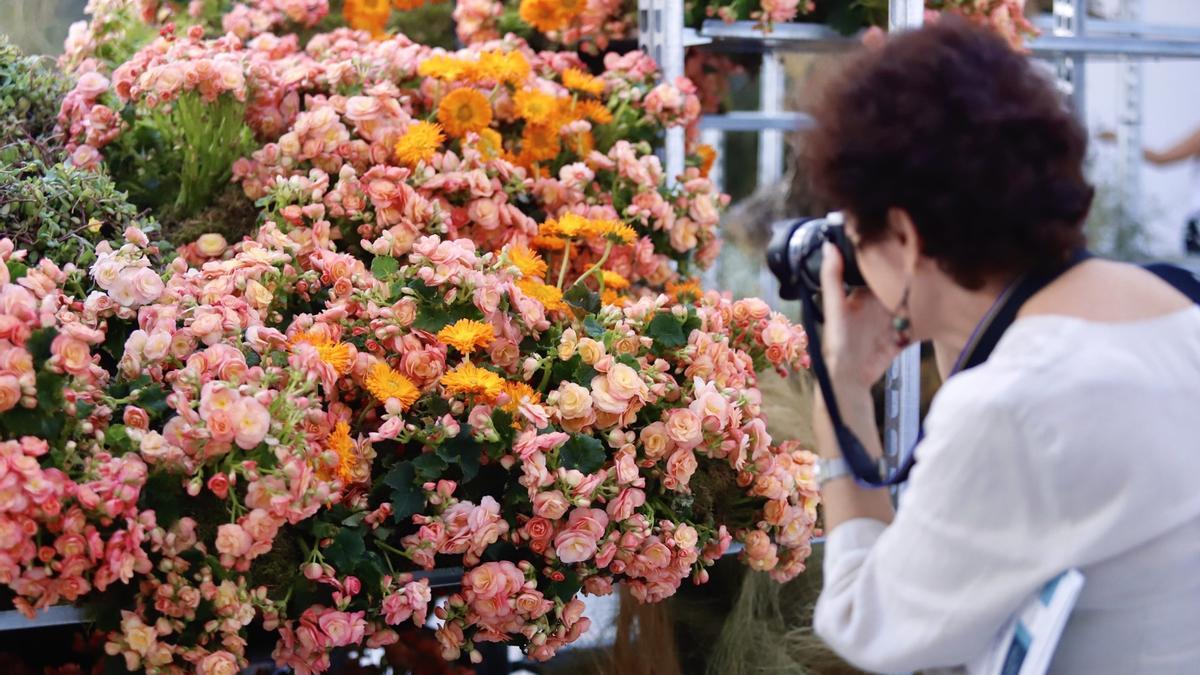 Flora 2026 abre en Córdoba su convocatoria de asistentes artísticos para trabajar con creadores internacionales