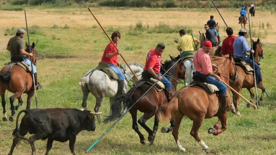 Fiestas en Vadillo de la Guareña