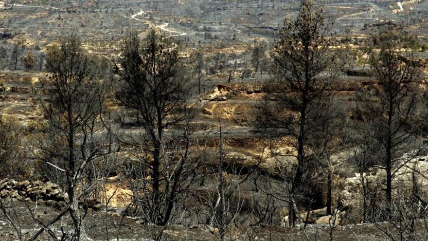 La devastación provocada por el incendio en la comarca tarraconense de la Ribera d&#039;Ebre