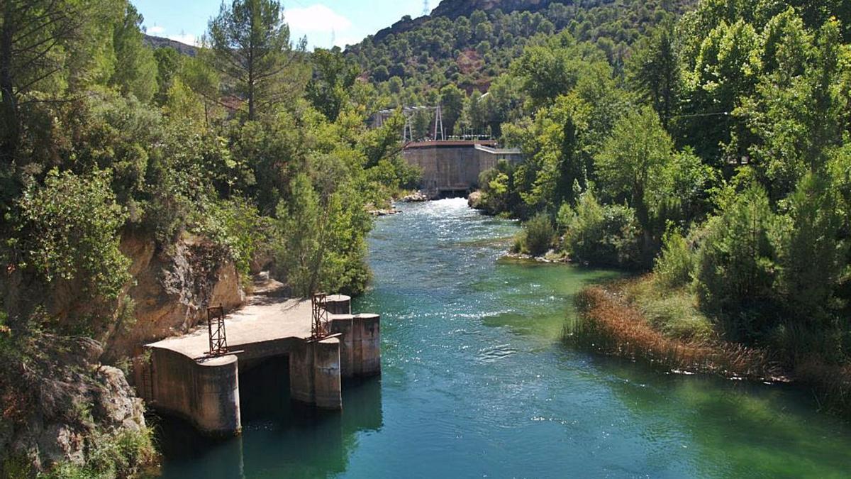 Tramos del Tajo en el entorno de la presa de Bolarque. | CHTAJO