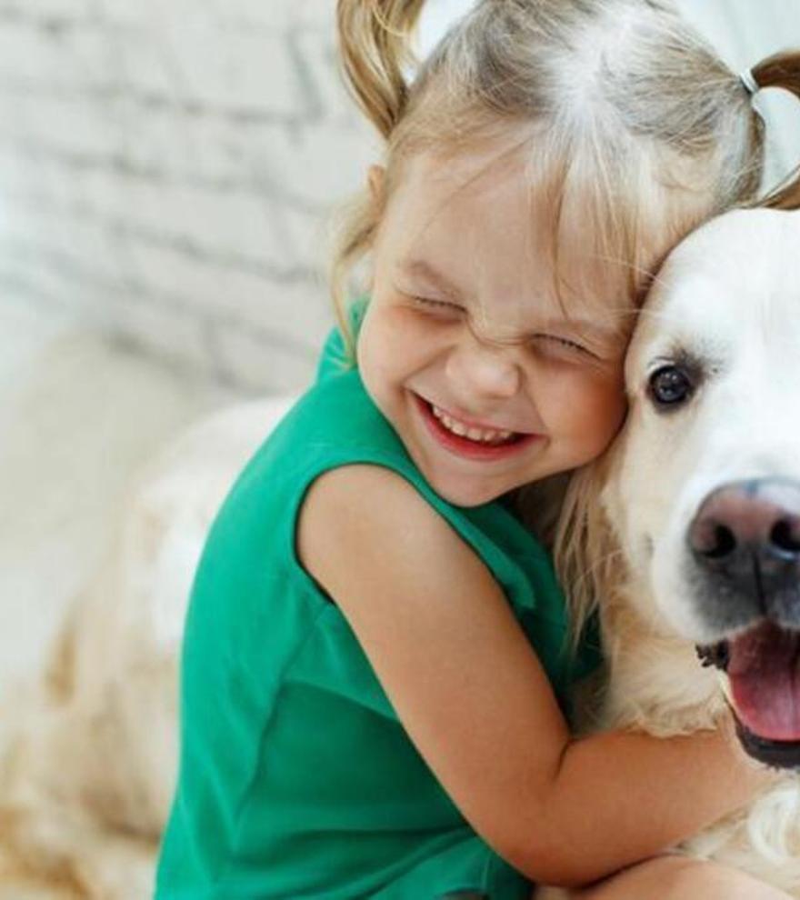 ¿Sabías que algunas razas de perros son más adecuadas para convivir con niños? Descubre cuáles son