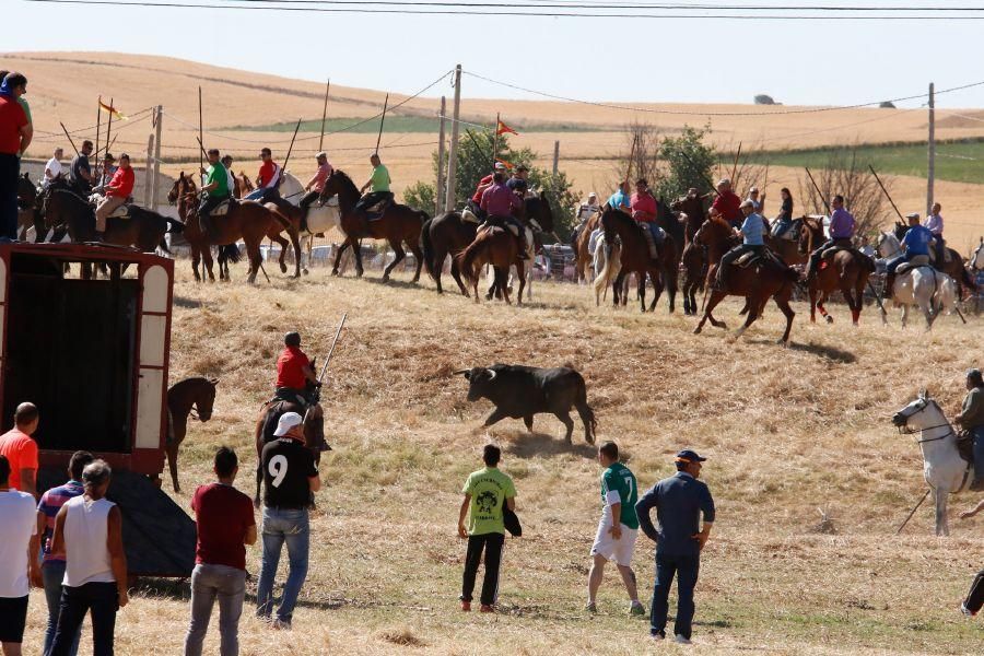 Encierro Guarrate