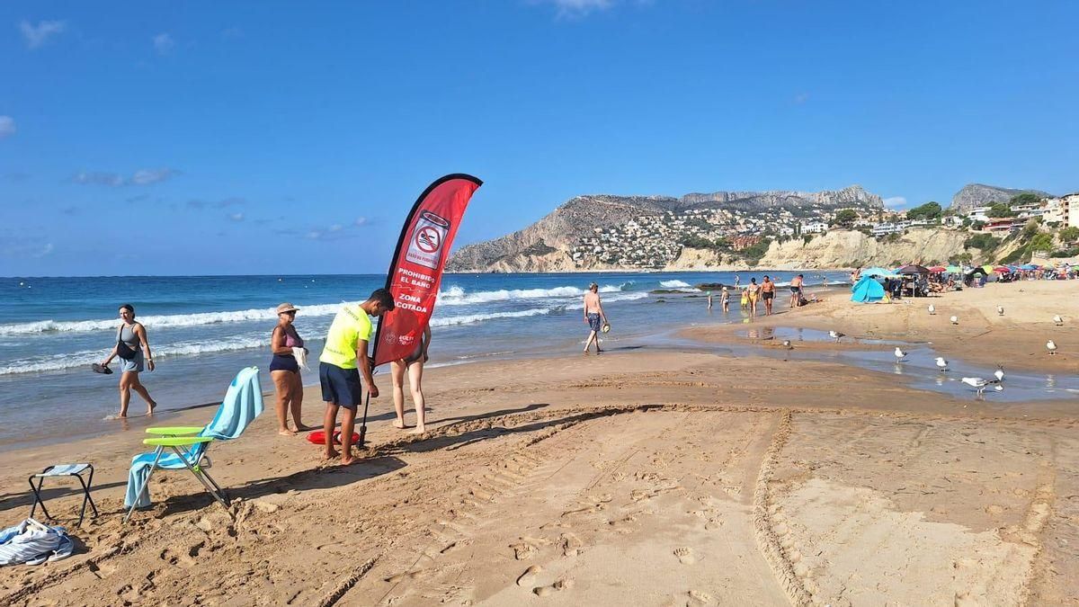 Un socorrista coloca una bandera roja en el tramo de playa cerrado.