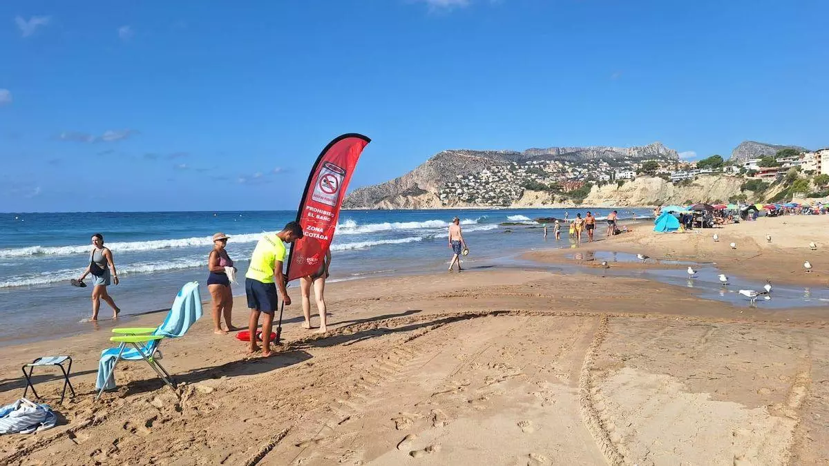 Calp cierra por segunda vez este verano el mismo tramo de playa por contaminación fecal
