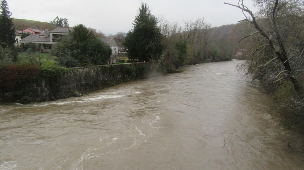 El río Sella, crecido a su paso por Cangas de Onís