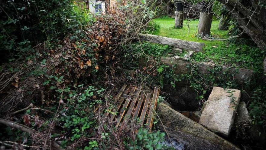 Un árbol de grandes dimensiones caído sobre un arroyo en la zona de A Laxe. // Iñaki Abella