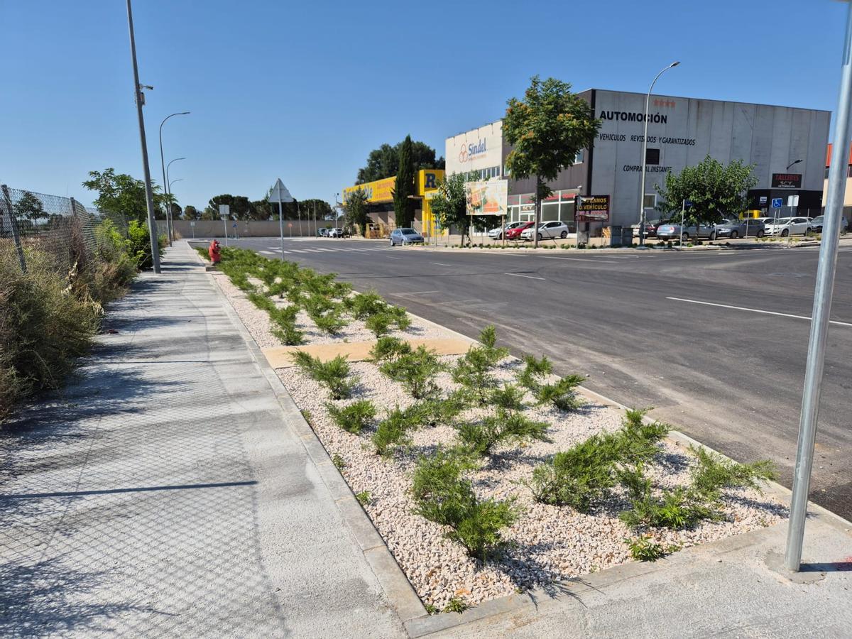 Vegetación incorporada en una de las calles.