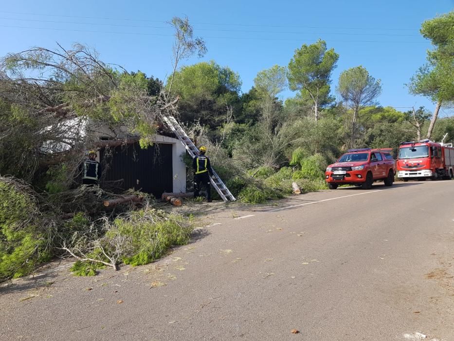 Trabajos en las zonas más afectadas por la tormenta en Baleares