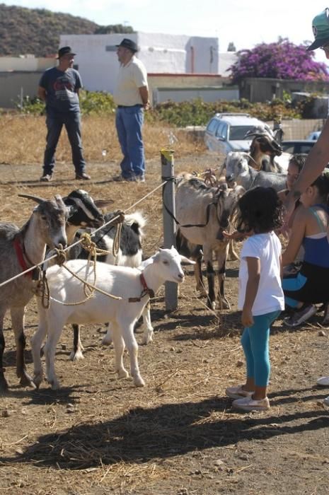 FERIA DE GANADO,PAELLA Y SANGRIA EN VALLELOS NUEVE