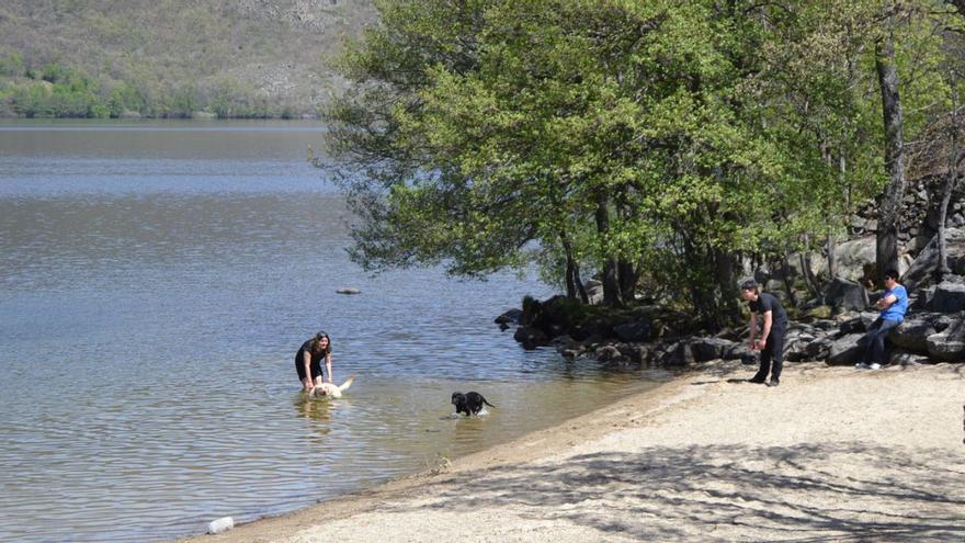¿Perros no? El Lago de Sanabria prohibirá la entrada de mascotas a sus playas