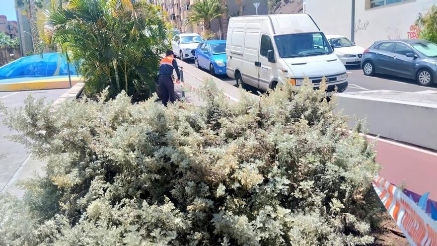 Rueda de prensa del Cecopin