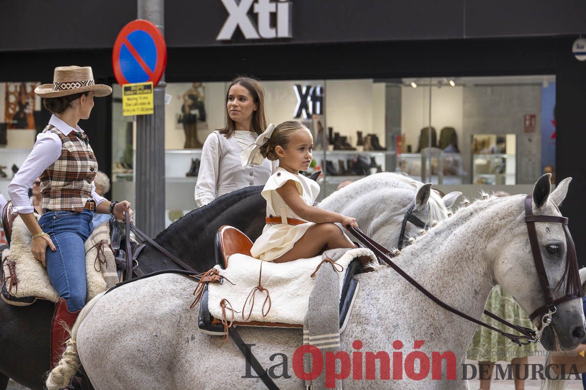 Romería de los Caballos del Vino de Caravaca, en imágenes