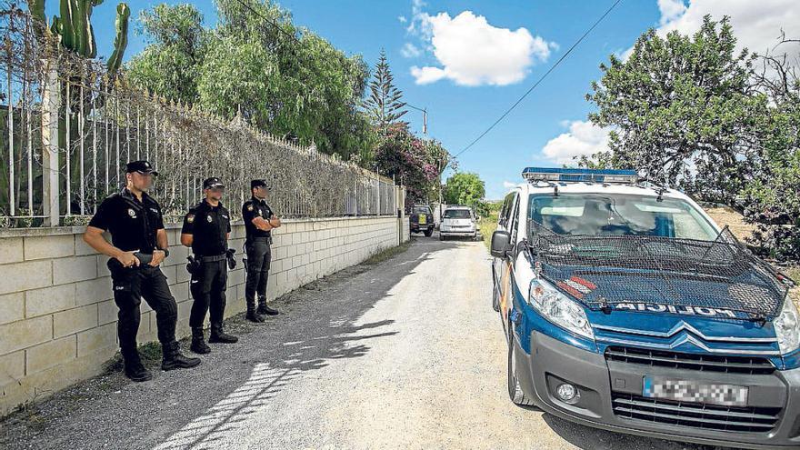 La incautación en Torrellano alcanza las mil plantas de cannabis y casi un kilo de cogollos