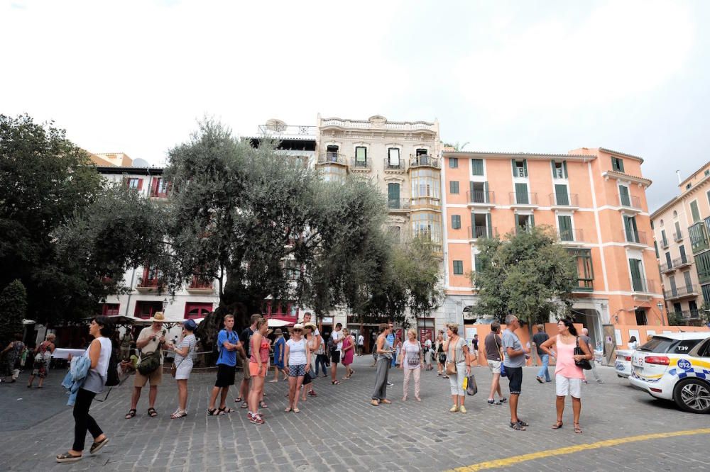 Falsa alarma en el Consell de Mallorca por la aparición de un bulto sospechoso