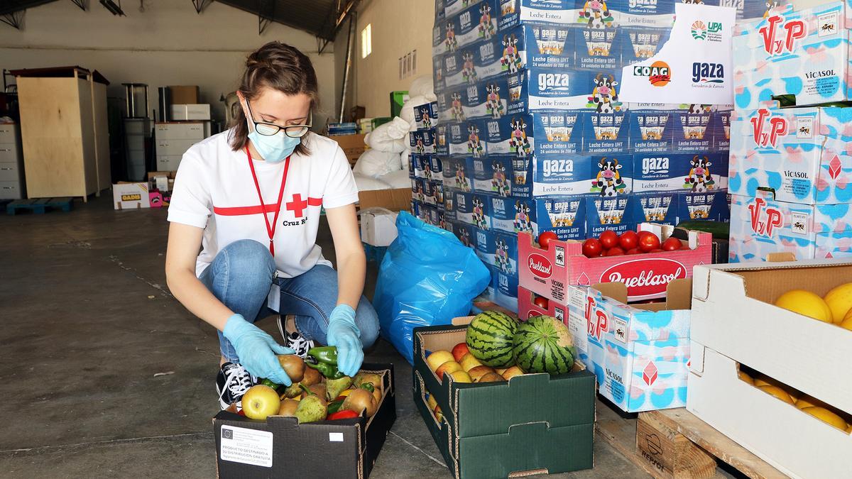 Una voluntaria participa en una recogida de alimentos realizada en Zamora