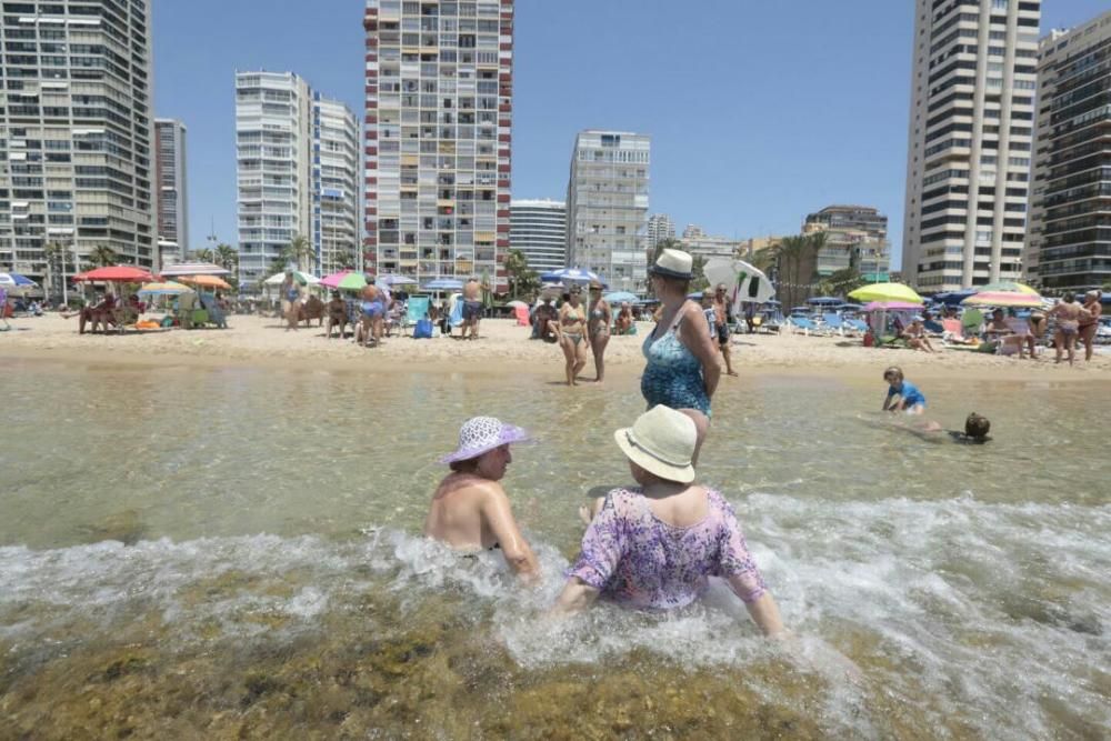 Un grupo de bañistas se refrescan en la playa de Levante de Benidorm