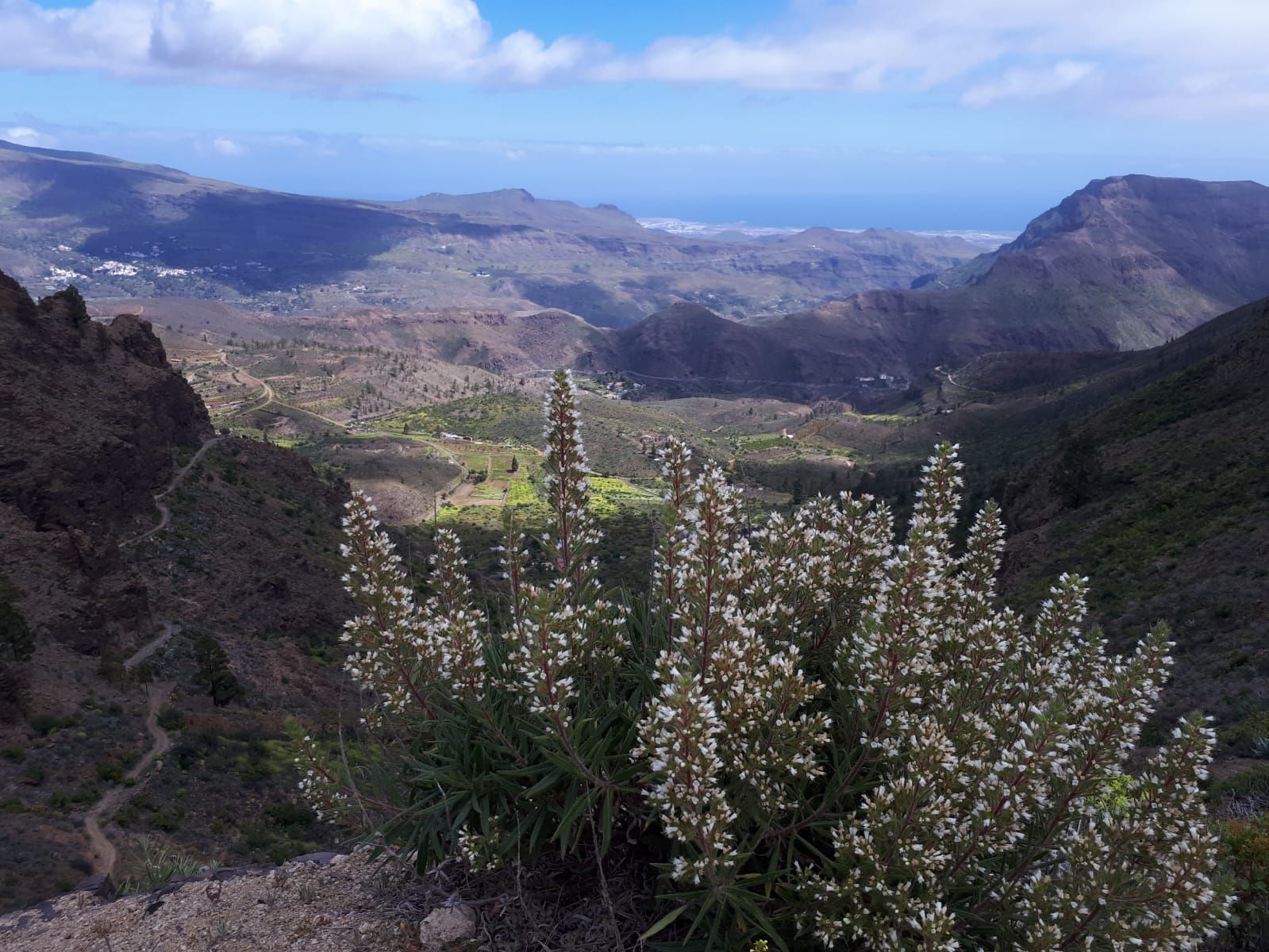 La primavera en Gran Canaria