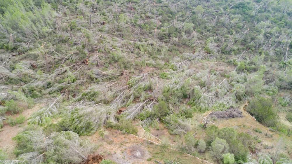 La palabra que más empleaban vecinos y curiosos para describir el paisaje era «guerra»