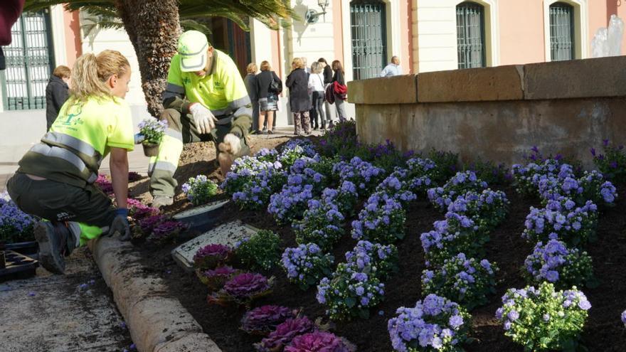 Más de 450 flores violetas engalanan la Glorieta por el Día Contra la Violencia de Género