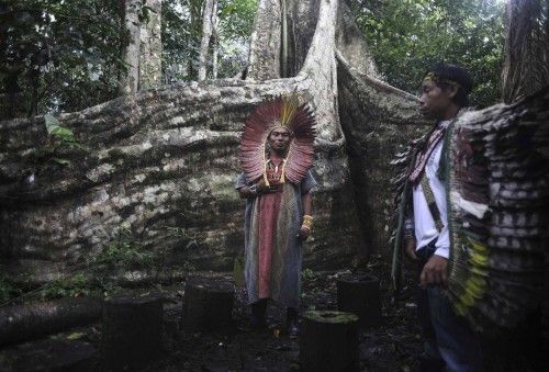 Spiritual leaders of the Huni Kui Indian tribe perform a ceremony for a sacred samauma tree outside the village of Novo Segredo along the Envira river in Brazil's northwestern Acre state