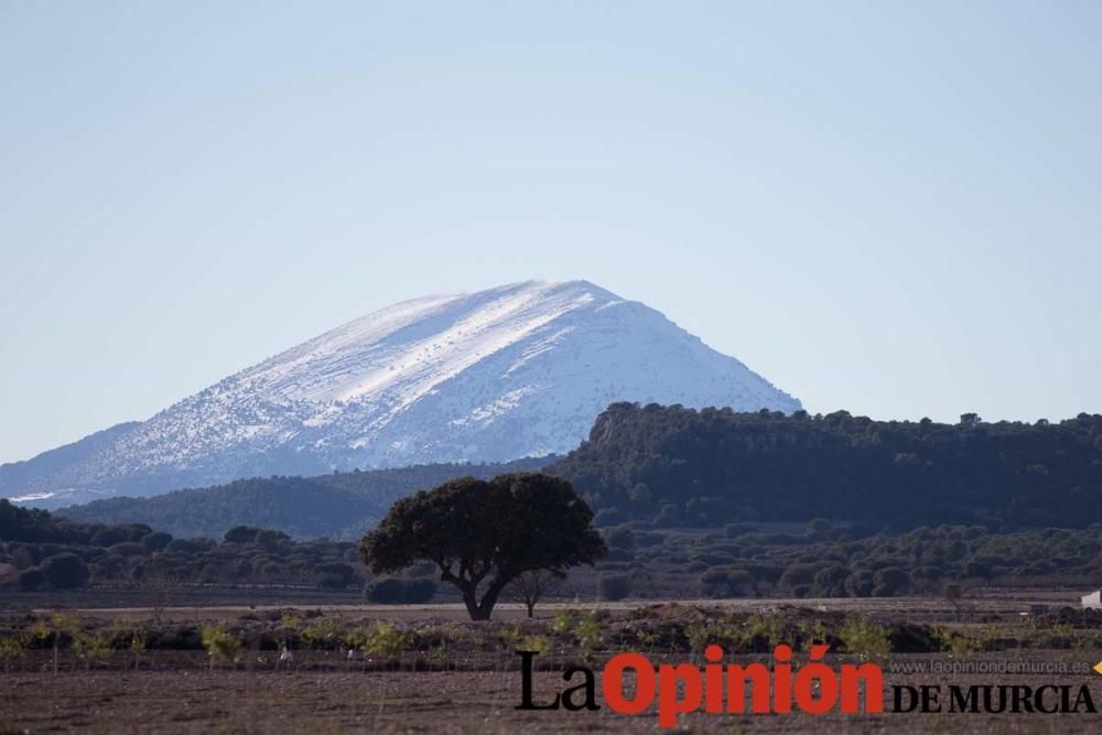 Nieve en Revolcadores