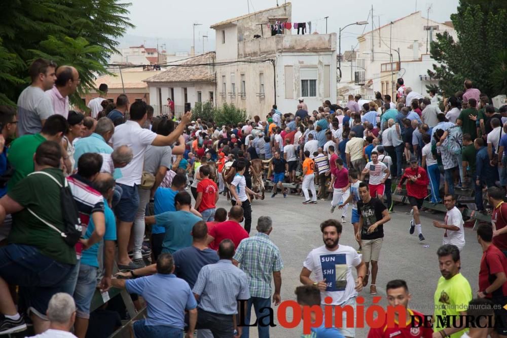 Primer encierro en Calasparra