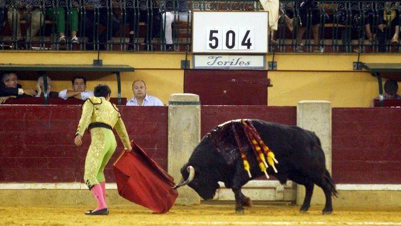 Novillada en la plaza de Toros