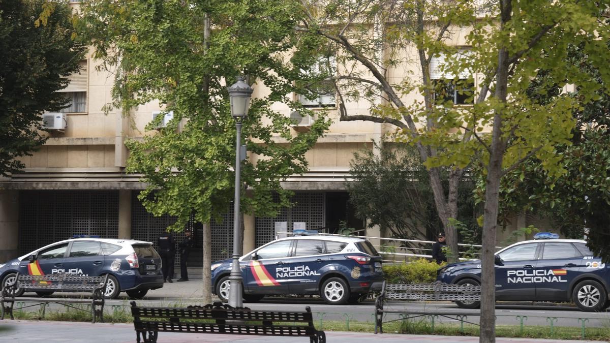 Varios vehículos de la Policía Nacional en la puerta de la Audiencia de Badajoz tras la trifulca, el pasado 8 de noviembre.
