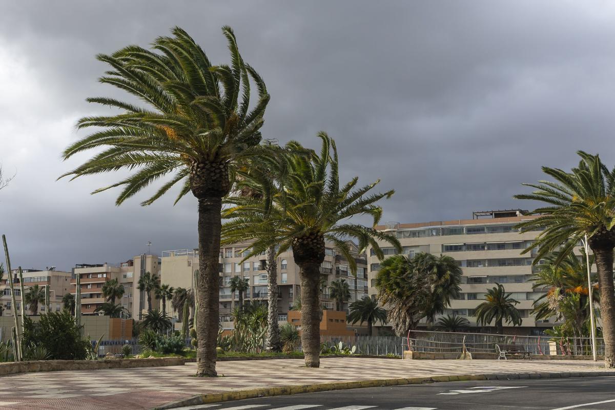 FOTODELDÍA - MELILLA (ESPAÑA), 14/02/2026.- El servicio de prevención y extinción de incendios ha registrado desde el mediodía de este viernes un total de 35 intervenciones en Melilla debido a los efectos de la borrasca Oriana, con fuertes rachas de viento de hasta 90 kilómetros por hora que han provocado el derrumbe de parte del muro exterior del IES Leopoldo Queipo. EFE/José Manuel Giner