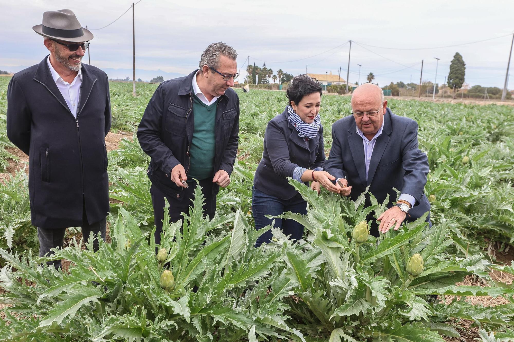 La chef Aurora Torres inaugura la temporada de la alcachofa