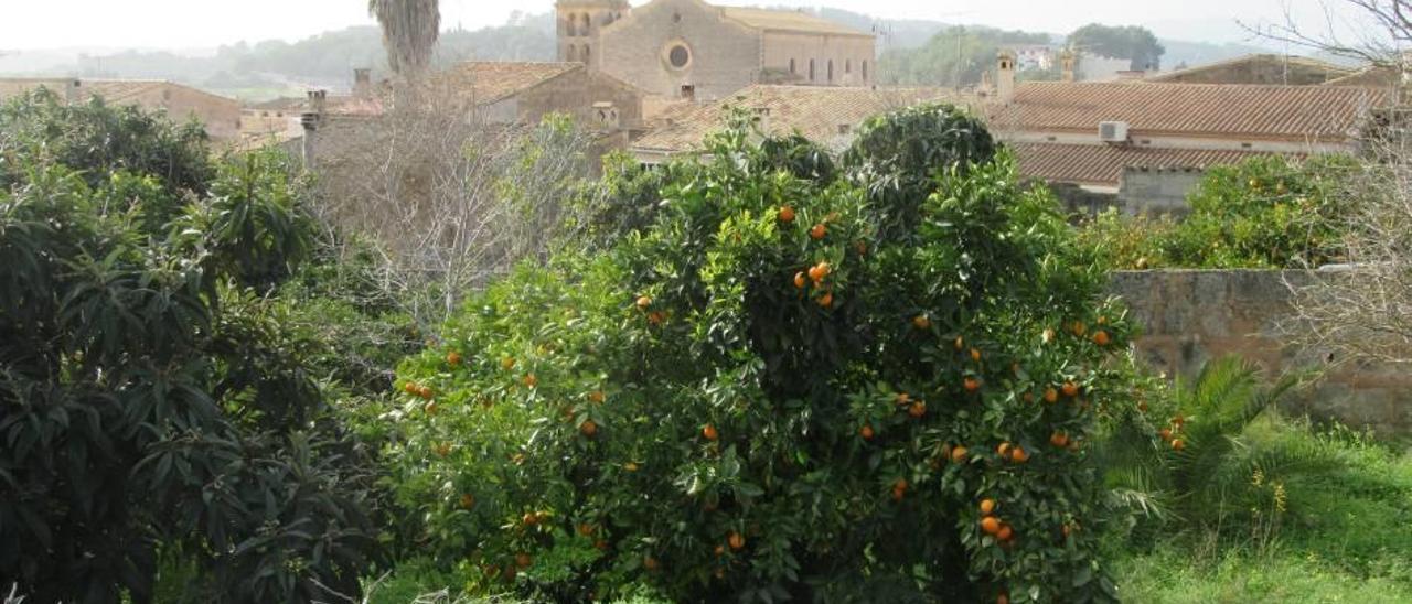 Vista del pueblo de Sant Joan, en la comarca del Pla.