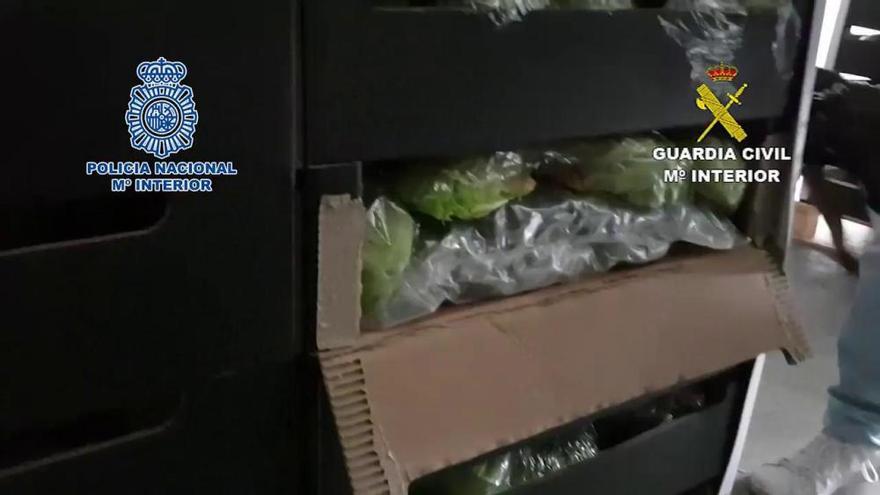 170 kilos de marihuana en un tráiler de lechugas que salió de Alhaurín