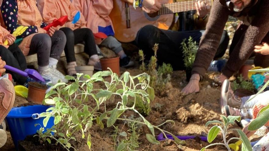 La Escola Infantil de Canals celebra el Día del Árbol con animación y reforestación