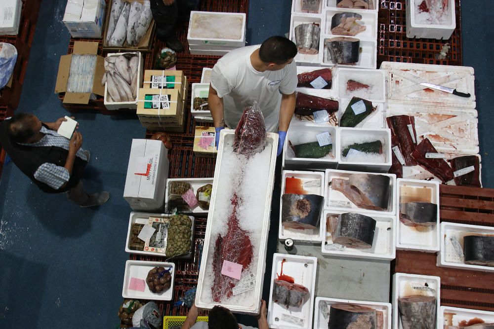 Así es un día de trabajo en la pescadería de Mercamálaga