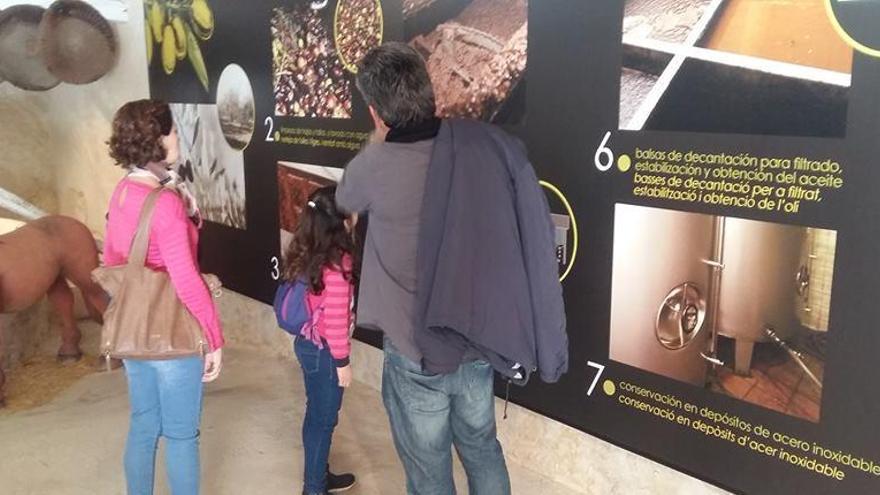 Los museos de San Vicente del Raspeig doblan el número de visitas