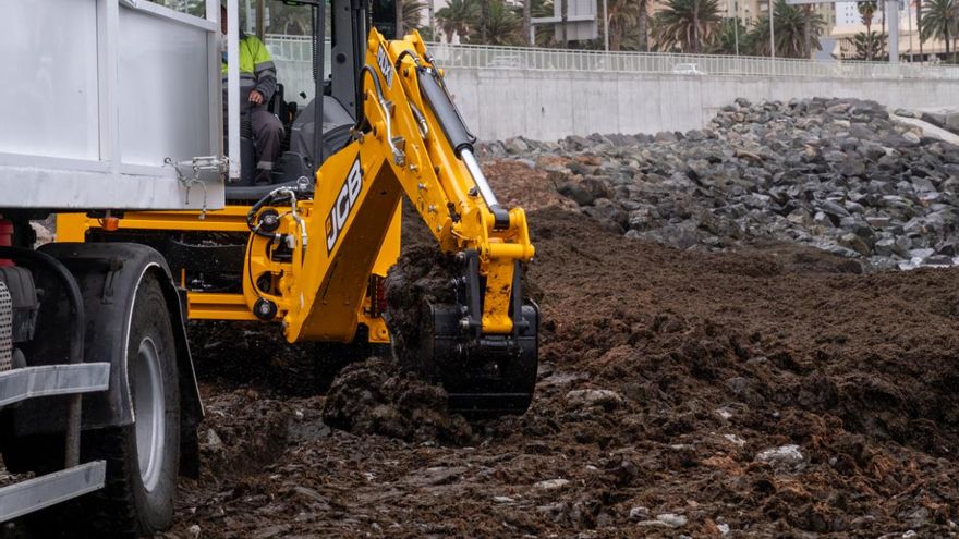 Cinco toneladas al día: Ciudad de Mar retira algas invasoras en el litoral de Las Palmas de Gran Canaria