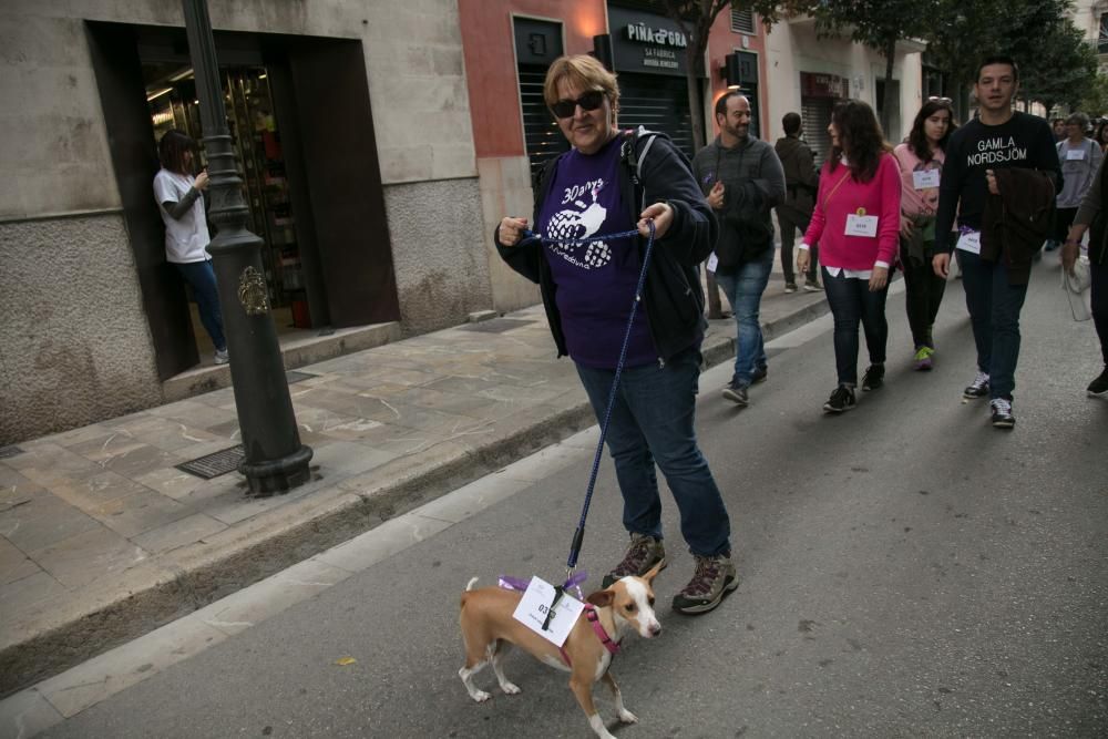 Marcha en Palma contra la violencia a las mujeres