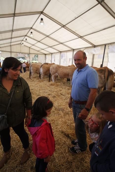 Feria de ganado de Manzaneda, en Gozón